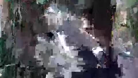 kittykemi online show from September 24, 2025, 2:48 am