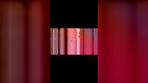 kittypurrrrry online show from March 2, 2026, 5:31 pm