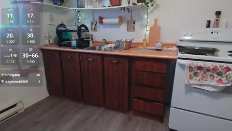 Kittyymaze online show from January 7, 2025, 1:14 pm