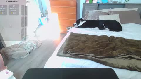 Kittyymaze online show from January 14, 2025, 4:50 pm