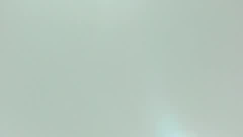 Kiwi online show from February 10, 2026, 11:58 am