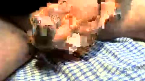 klok8230 online show from March 27, 2026, 1:22 pm