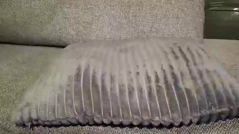 koelie1982 online show from January 22, 2025, 1:10 am