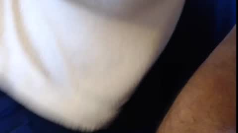 Konrad online show from March 6, 2025, 9:25 am