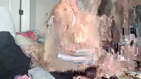 Korina online show from December 16, 2025, 7:41 pm