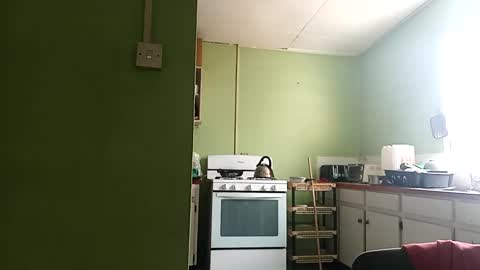 Prince makonnen  online show from March 1, 2025, 1:29 pm