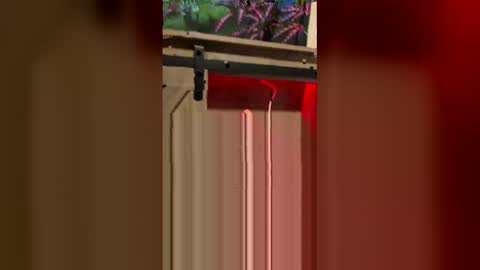 korysmith568 online show from February 20, 2026, 3:25 am