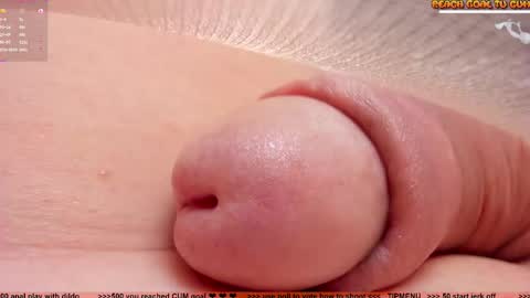 Petra online show from January 14, 2026, 8:03 pm