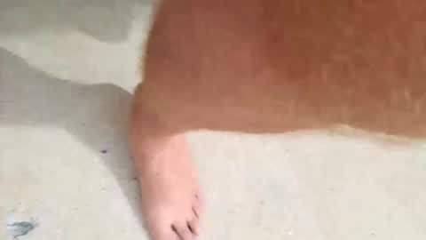 Snapshot of kramit1222 chatting on September 24, 2025, 4:43 pm kramit1222 online show from September 24, 2025, 4:43 pm