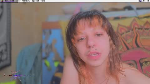 Krypto hethey online show from April 12, 2026, 8:14 pm