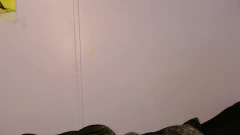Snapshot of l1lybaby chatting on May 5, 2026, 9:17 am Lily online show from May 5, 2026, 9:17 am