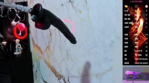 AMAZONA  online show from January 8, 2026, 7:27 pm