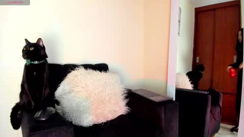 lace_victoria online show from January 7, 2026, 6:54 pm