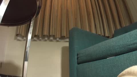 lacub online show from February 19, 2025, 7:17 am