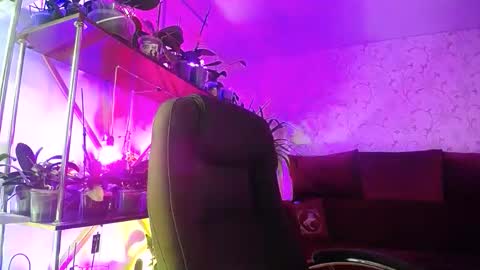 Snapshot of lady_gloria chatting on February 24, 2026, 6:22 am Lady Gloria online show from February 24, 2026, 6:22 am