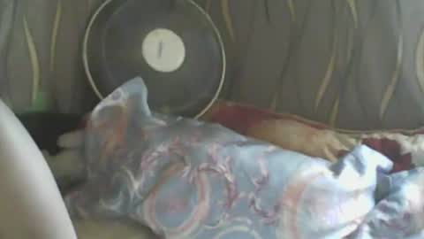 LadyXSnakes online show from January 10, 2025, 5:26 am