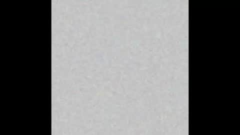  paola and a guest lol    online show from November 12, 2025, 10:04 am