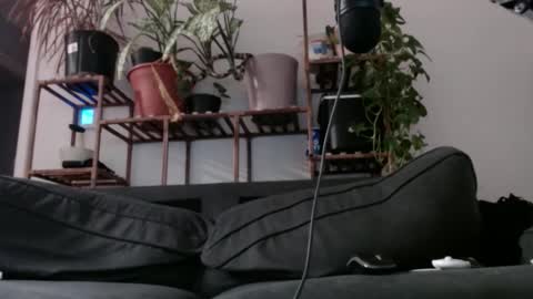 Snapshot of laidback_and_chill chatting on December 11, 2024, 8:26 am Rick online show from December 11, 2024, 8:26 am