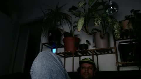 Snapshot of laidback_and_chill chatting on December 18, 2024, 12:21 am Rick online show from December 18, 2024, 12:21 am