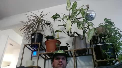 Snapshot of laidback_and_chill chatting on December 24, 2024, 7:11 pm Rick online show from December 24, 2024, 7:11 pm