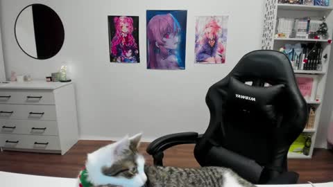 Kira online show from December 17, 2024, 6:31 pm