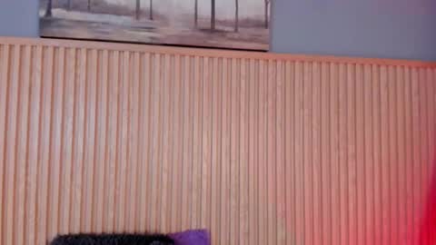 ... .          . ... online show from November 13, 2025, 1:21 pm