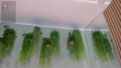 lana_lann online show from November 10, 2025, 12:04 pm