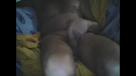 Larop49 online show from October 6, 2025, 5:16 am