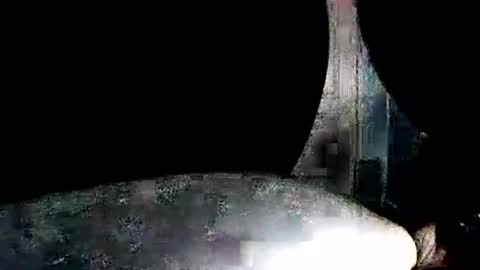 Snapshot of latexchris77 chatting on January 7, 2026, 7:55 am latexchris77 online show from January 7, 2026, 7:55 am