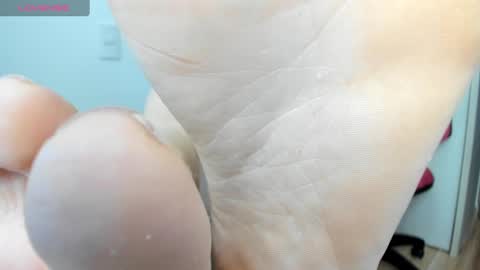 Afrodita online show from December 12, 2024, 6:31 pm