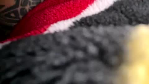 Snapshot of latn_73 chatting on November 16, 2025, 8:58 pm Mexakin online show from November 16, 2025, 8:58 pm