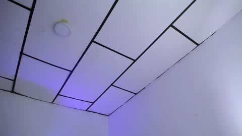 LAURA online show from January 28, 2025, 1:08 am