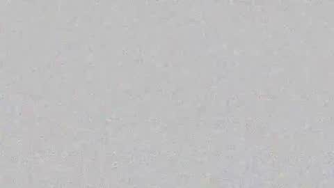 Layana online show from February 19, 2026, 6:48 pm