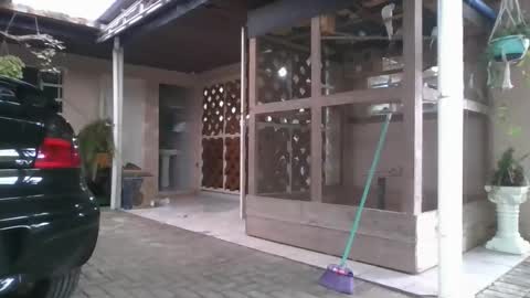 kelly online show from December 22, 2025, 8:28 pm