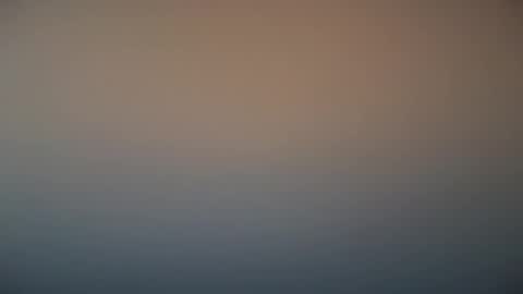 Michel online show from March 7, 2025, 12:01 pm