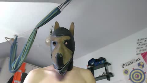 Snapshot of lederchris1403 chatting on July 8, 2026, 9:14 am Leather Dog online show from July 8, 2026, 9:14 am