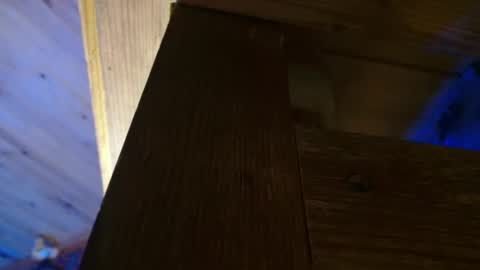 Dliciousman online show from December 16, 2024, 8:48 pm