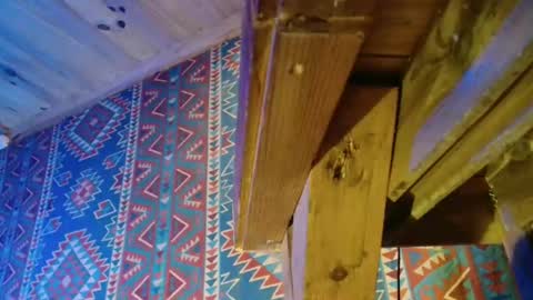 Dliciousman online show from December 23, 2024, 5:43 pm