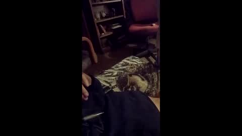 leftyusatisfied online show from April 6, 2026, 11:00 am