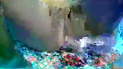 Snapshot of leilah_hope chatting on February 16, 2026, 5:47 am leilah_hope online show from February 16, 2026, 5:47 am