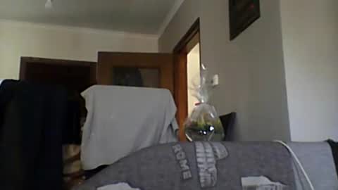 Snapshot of lelshop chatting on December 8, 2024, 9:57 am lelshop online show from December 8, 2024, 9:57 am