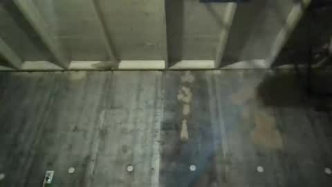 leo199984 online show from November 22, 2025, 4:33 am