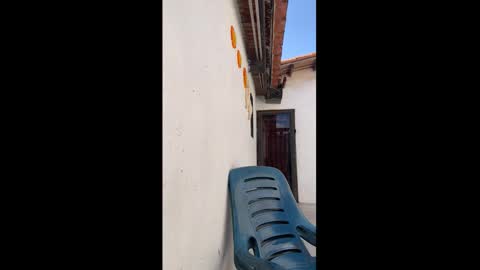 Snapshot of leo_latino1 chatting on March 9, 2026, 6:56 pm leo_latino1 online show from March 9, 2026, 6:56 pm