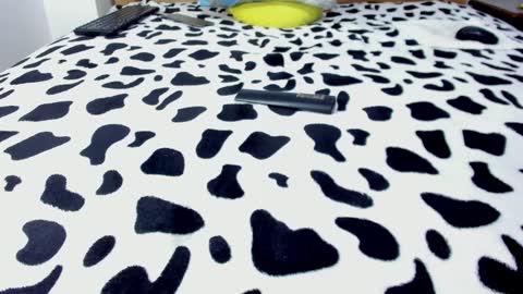 Leo online show from January 27, 2025, 5:15 pm