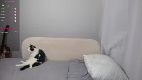 Snapshot of leonkissboy chatting on March 1, 2026, 4:14 am leonkissboy online show from March 1, 2026, 4:14 am