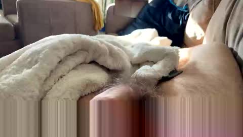 Snapshot of letgetnaughty12345 chatting on March 19, 2026, 12:31 pm letgetnaughty12345 online show from March 19, 2026, 12:31 pm