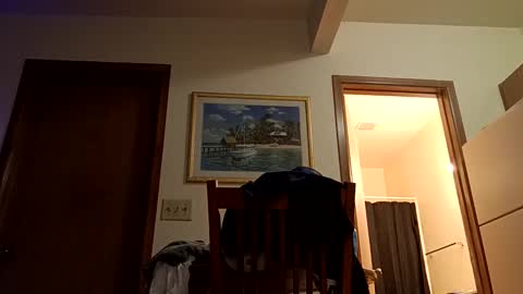 letsplay361 online show from March 2, 2025, 8:05 am