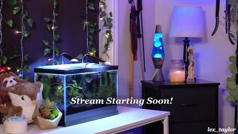 Snapshot of lex_taylor chatting on December 19, 2024, 4:46 pm Lex online show from December 19, 2024, 4:46 pm