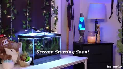 Snapshot of lex_taylor chatting on February 18, 2025, 4:37 pm Lex online show from February 18, 2025, 4:37 pm