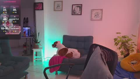 Snapshot of lexie_babe chatting on December 16, 2024, 11:33 am Lexie Thompson 8pm 0000am -5 online show from December 16, 2024, 11:33 am